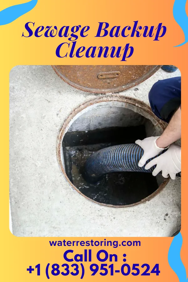 Sewage Backup Cleanup in Bath, ME