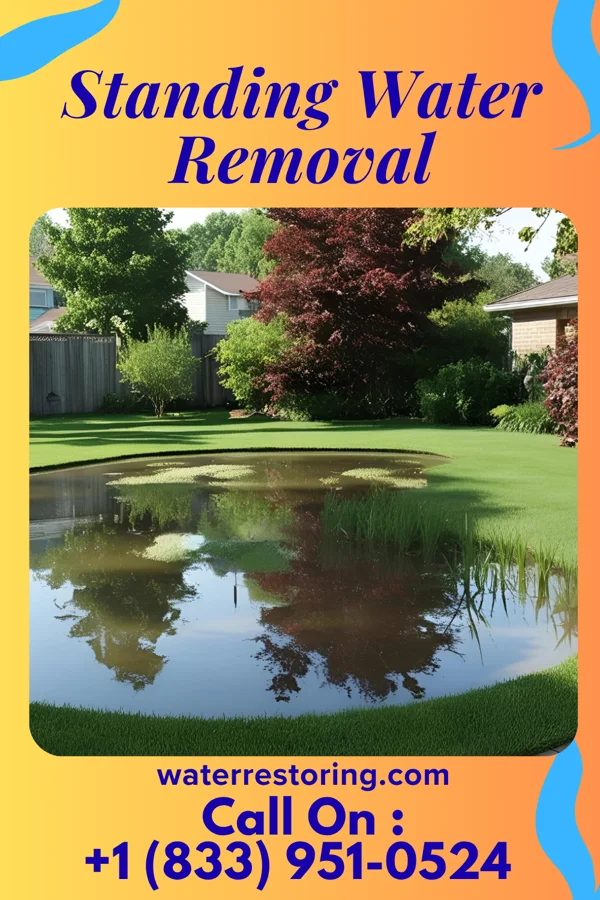 Standing Water Removal in Bath, ME
